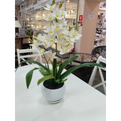 Орхидея "Цимбидиум" (Латекс)